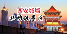骚逼乱伦网站中国陕西-西安城墙旅游风景区