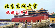 爆艹极品骚穴中国北京-东城古宫旅游风景区